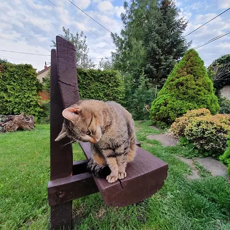 Ilike * Balatonfüred